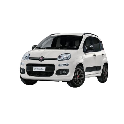 Read more about the article FIAT NEW PANDA